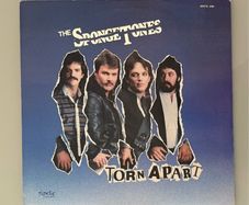 The Spongetones - Torn Apart (indie Us pressing). Legendary Beatles-influenced power pop band. Very highly regarded release - check themOut on YouTube. Bargain!