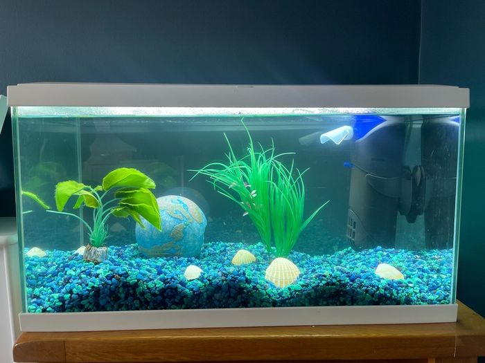 Fish Tank and Accessories