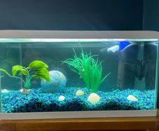 Fish Tank and Accessories