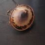 Antique Shell Trinket Pill Image 2