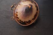 Antique Shell Trinket Pill