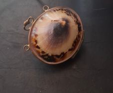 Antique Shell Trinket Pill