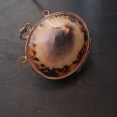 Antique Shell Trinket Pill