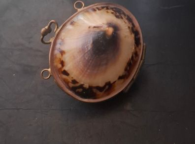 Antique Shell Trinket Pill