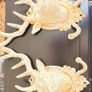 Decorative wall hangers Image 2