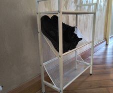 Shoe rack