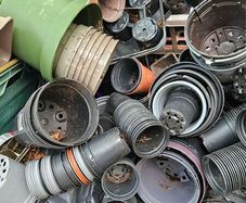 FREE, used pots and bedding trays