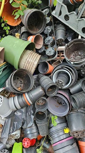 Free Plant Pots