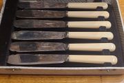 Sheffield silver Fish Cutlery Set W/ Faux Bone Handles