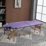 Portable 2 Section Massage Table Bed Folding Lightweight Beauty Therapy Couch Purple Image 7
