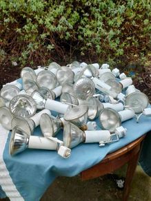 28 Ceiling Par 38 lights and adjustable housing units