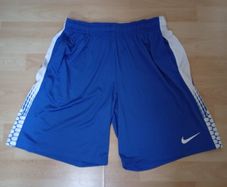 Nike Dri-Fit Shorts ((Adult L))