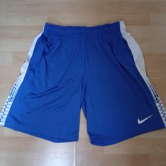 Nike Dri-Fit Shorts ((Adult L))