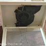 Indesit Extractor Fan Image 5