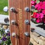 Tanglewood TW15 Dreadnought Image 3