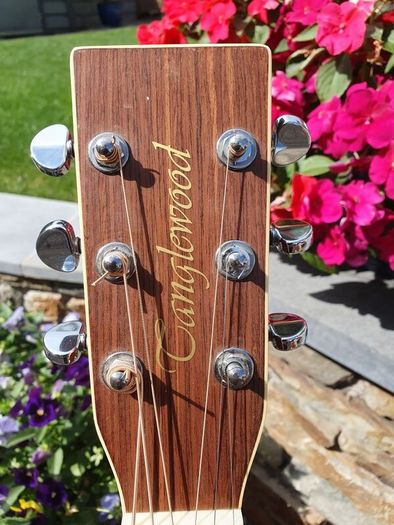 Tanglewood TW15 Dreadnought