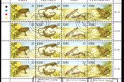 1995 Ireland Fauna &amp; Flora: Reptiles and Amphibians Commemorative Stamp Sheetlet Fine Used with Dundalk (Dun Dealgan) and First Day of Issue Cancel