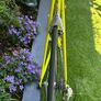 Colnago Master Image 6