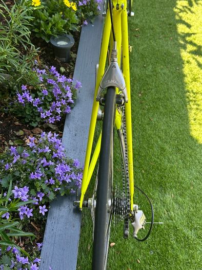 Colnago Master