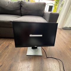 Dell PC Monitor