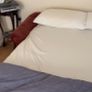 sofa Bed Image 2
