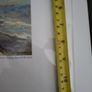 Vincent Van Gogh Image 3