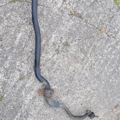 hilux front anti roll bar