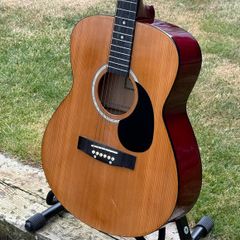 Elevation Acoustic Guitar