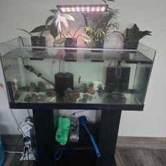 fish tank