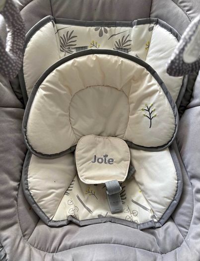 Joie Swing, rocker & bouncer