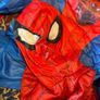 costume Image 4