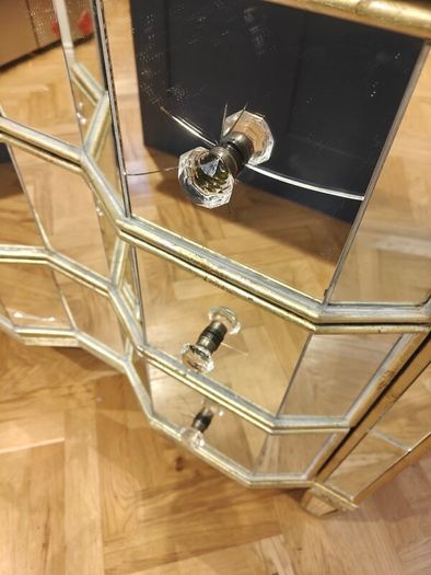 Chest of Drawers _ Regency Style