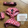 Wildtails Dog Accessories Image 4