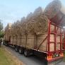 Top Quality Horse Hay 2026 Image 2