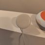 Google Nest Mini Image 3