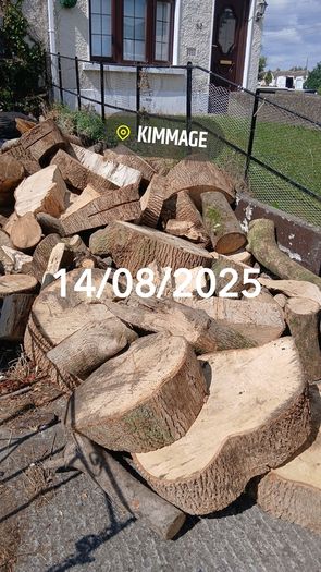 Firewood 2026