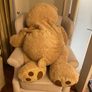 large teddy bear Image 2