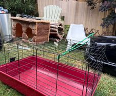 Hutch for guinea pigs etc