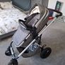 Buggy Image 8