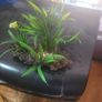 boyu fish tank Image 7