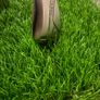 Calloway Jaws Raw 56 & 60 degree wedges Image 10