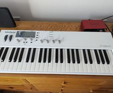 Waldorf Blofeld Keyboard (White) with carry bag