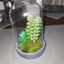 Cactus artificial Image 4