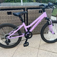 Ridgeback 20 inch kids bike