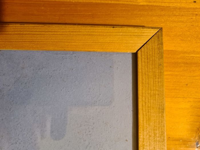 Framed Print Of Grey Seal. In Good Condition.