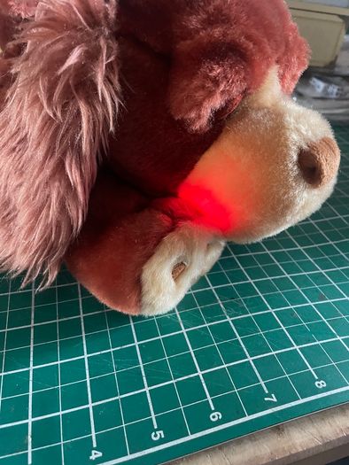 Light Up Barking Sleeping Dog