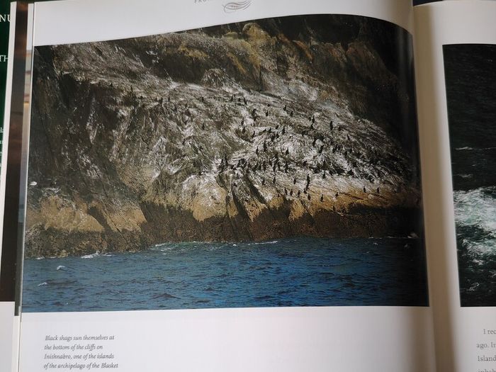 The Islands of Ireland