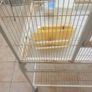 large mobile bird cage Image 3