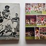 Raymond Smith GAA Books - Decades of Glory - The Hurling Immortals - Gaa History Books Image 2