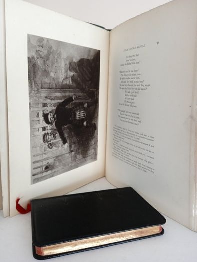 Nugae Canorae Medicae: Lays by the Poet Laureate of the New Town Dispensary by Douglas MacLagan (GT670)